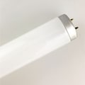 Ilc Replacement for Philips F14t12/cw 30 COO replacement light bulb lamp F14T12/CW 30 COO PHILIPS